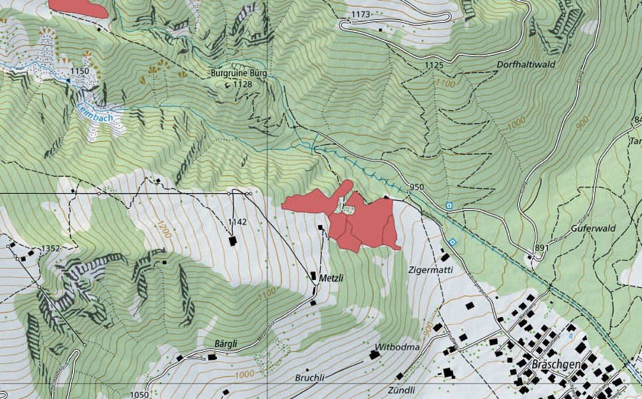 Landeskarte swisstopo mit dem Schutzperimeter von Metzli (Trockenwiese)