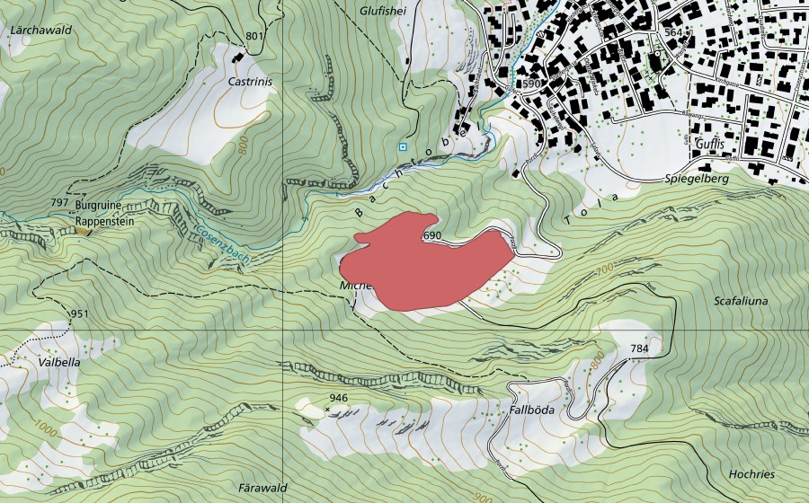 Carte nationale swisstopo avec le périmètre protégé de Michelis Bünten (Prairie sèche)