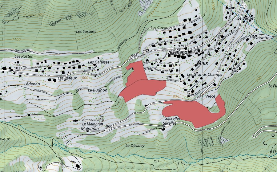 Landeskarte swisstopo mit dem Schutzperimeter von Miex (Trockenwiese)