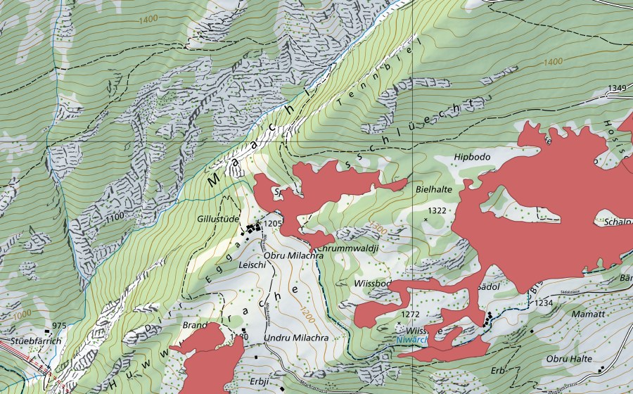 swisstopo national map showing the protected perimeter of Milachra (Dry meadow)