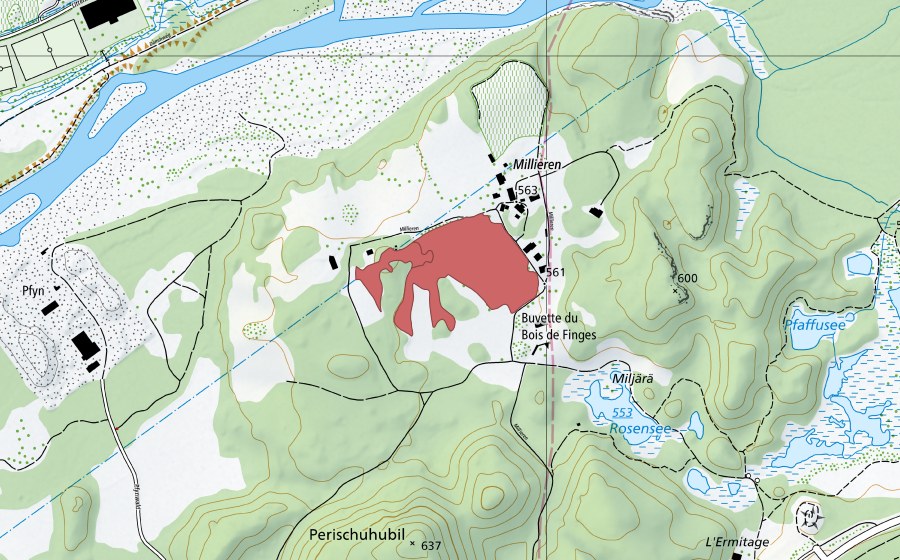 swisstopo national map showing the protected perimeter of Milljere (Dry meadow)