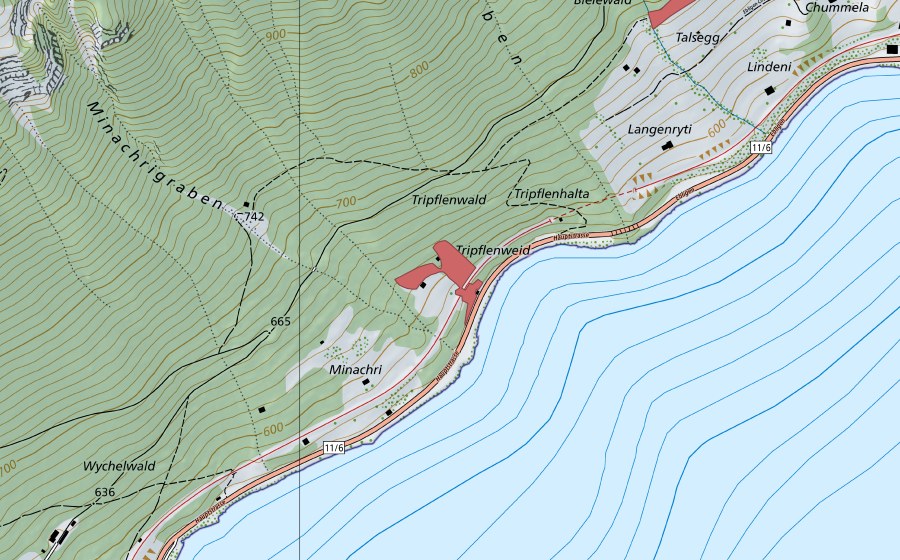 swisstopo national map showing the protected perimeter of Minachri (Dry meadow)