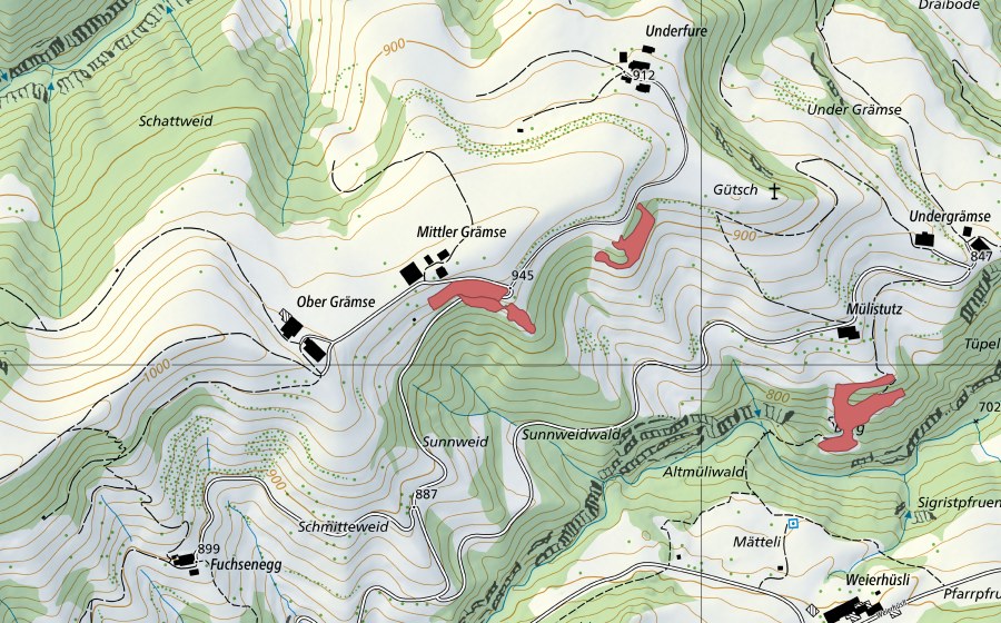 Landeskarte swisstopo mit dem Schutzperimeter von Mittel Grämse (Trockenwiese)