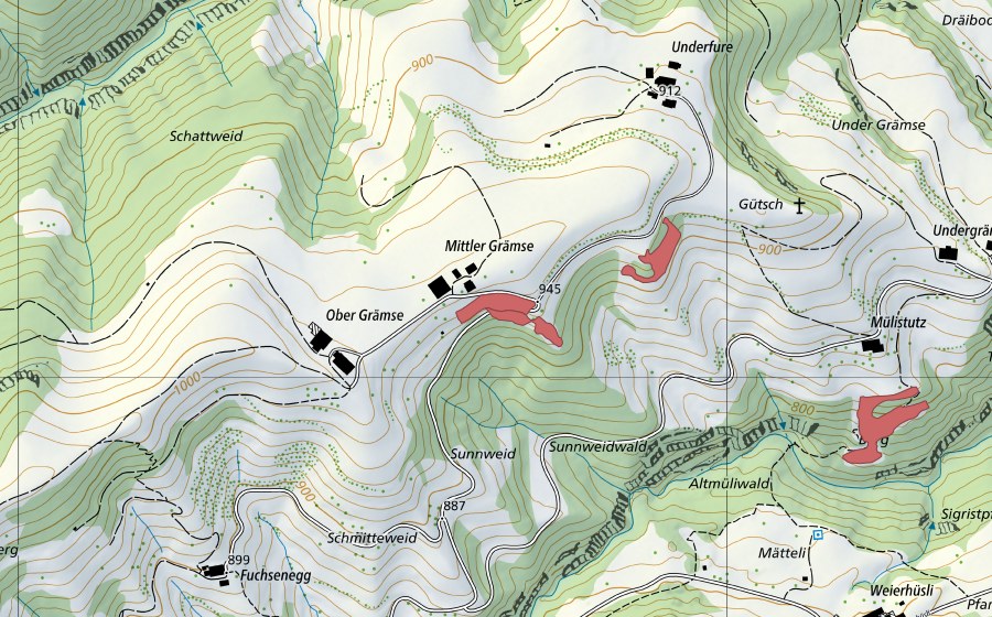 Landeskarte swisstopo mit dem Schutzperimeter von Mittel Grämse (Trockenwiese)
