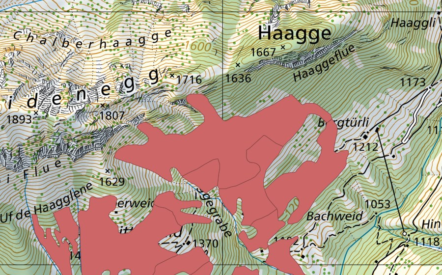 Carte nationale swisstopo avec le périmètre protégé de Mittelweid (Prairie sèche)