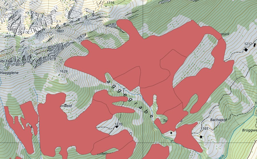 Landeskarte swisstopo mit dem Schutzperimeter von Mittelweid (Trockenwiese)