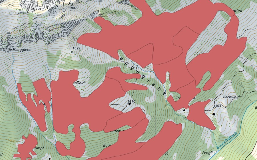 swisstopo national map showing the protected perimeter of Mittelweid (Dry meadow)