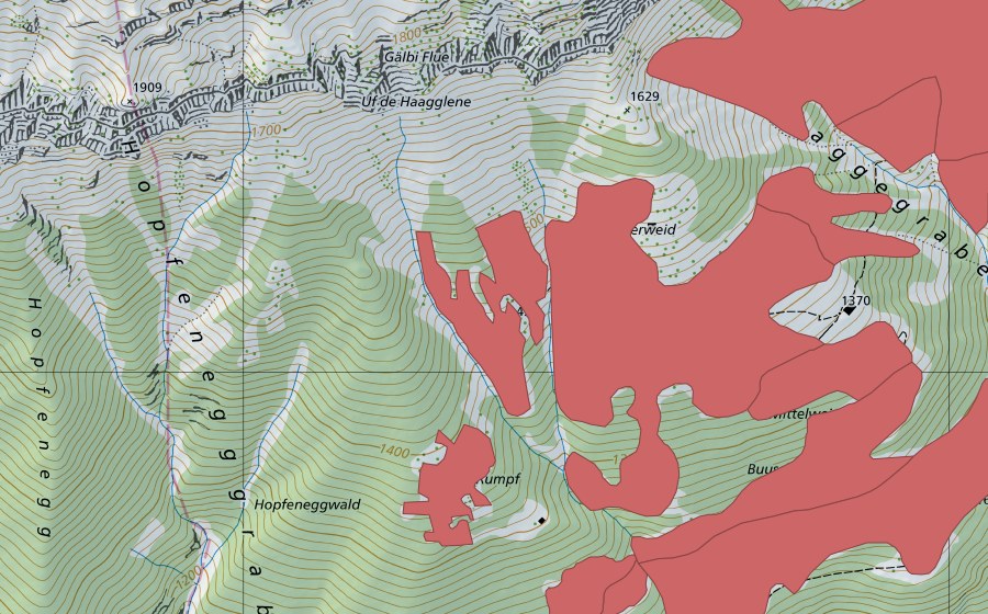 Carte nationale swisstopo avec le périmètre protégé de Mittelweid (Prairie sèche)