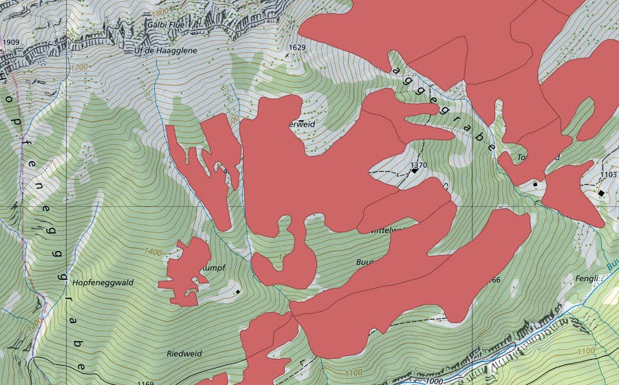 Landeskarte swisstopo mit dem Schutzperimeter von Mittelweid (Trockenwiese)