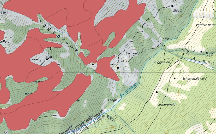 Landeskarte swisstopo mit dem Schutzperimeter von Mittelweid (Trockenwiese)