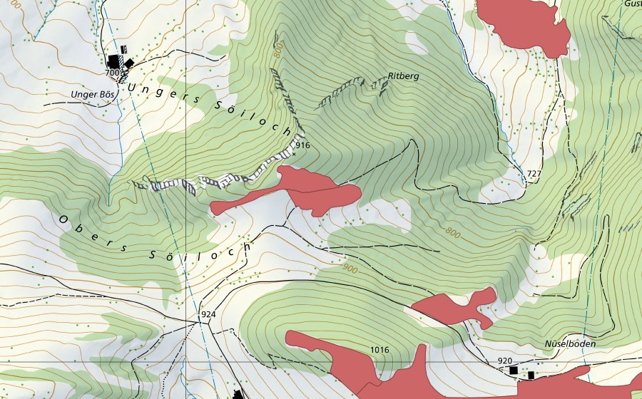 swisstopo national map showing the protected perimeter of Mittl. Rotmatt (Dry meadow)