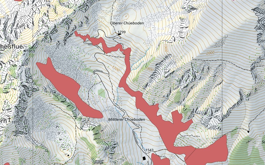 Landeskarte swisstopo mit dem Schutzperimeter von Mittler Chüeboden (Trockenwiese)
