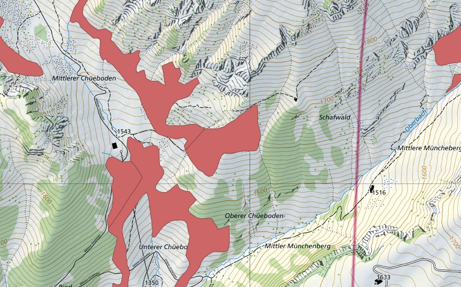 Landeskarte swisstopo mit dem Schutzperimeter von Mittler Chüeboden (Trockenwiese)