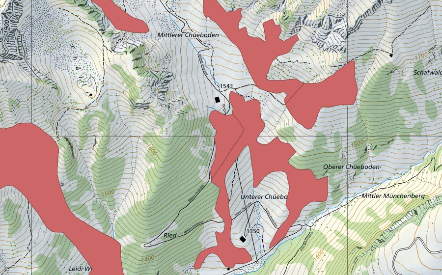 swisstopo national map showing the protected perimeter of Mittler Chüeboden (Dry meadow)