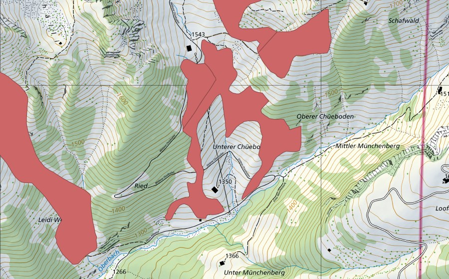 swisstopo national map showing the protected perimeter of Mittler Chüeboden (Dry meadow)