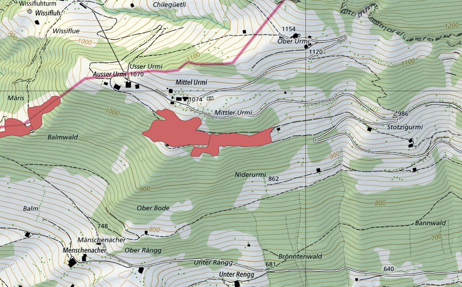 swisstopo national map showing the protected perimeter of Mittler-Urmi (Dry meadow)
