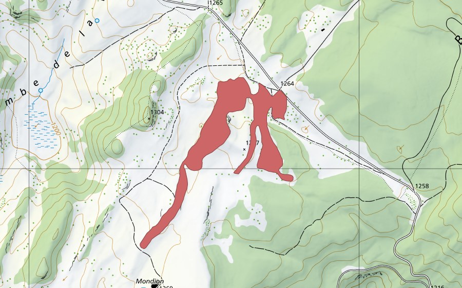 swisstopo national map showing the protected perimeter of Mondion (Dry meadow)