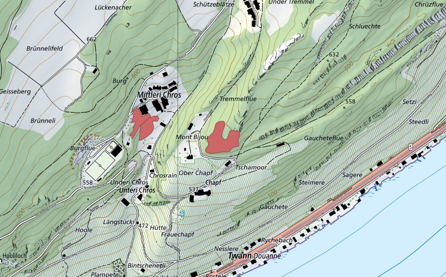 swisstopo national map showing the protected perimeter of Mont Bijou (Dry meadow)