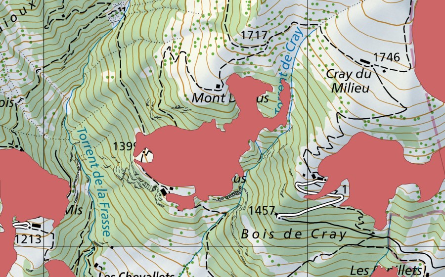Landeskarte swisstopo mit dem Schutzperimeter von Mont Dessous (Trockenwiese)