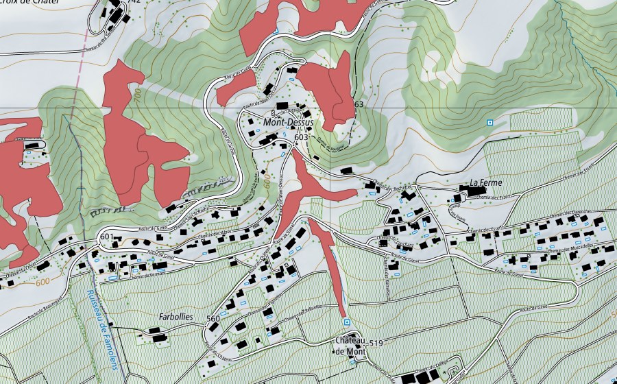 Carta nazionale swisstopo con il perimetro protetto di Mont Dessus (Prato secco)