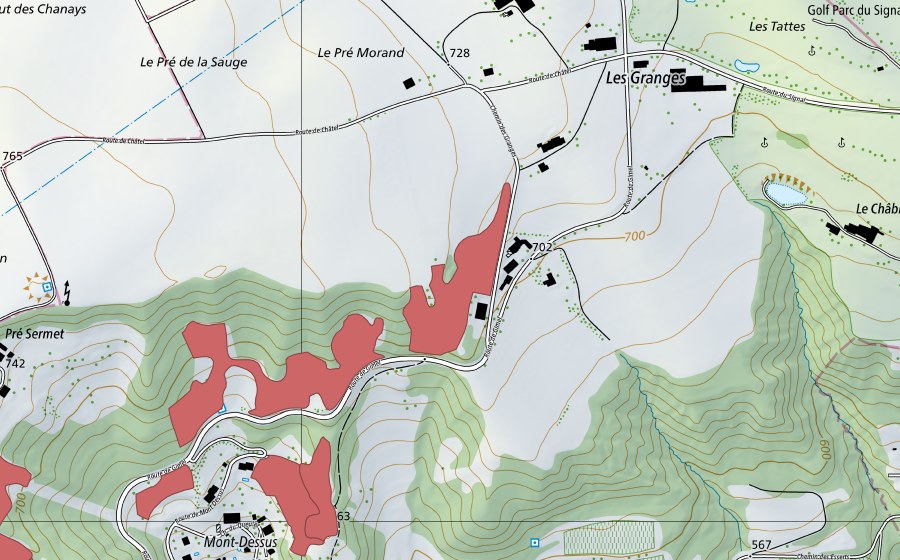 swisstopo national map showing the protected perimeter of Mont Dessus (Dry meadow)