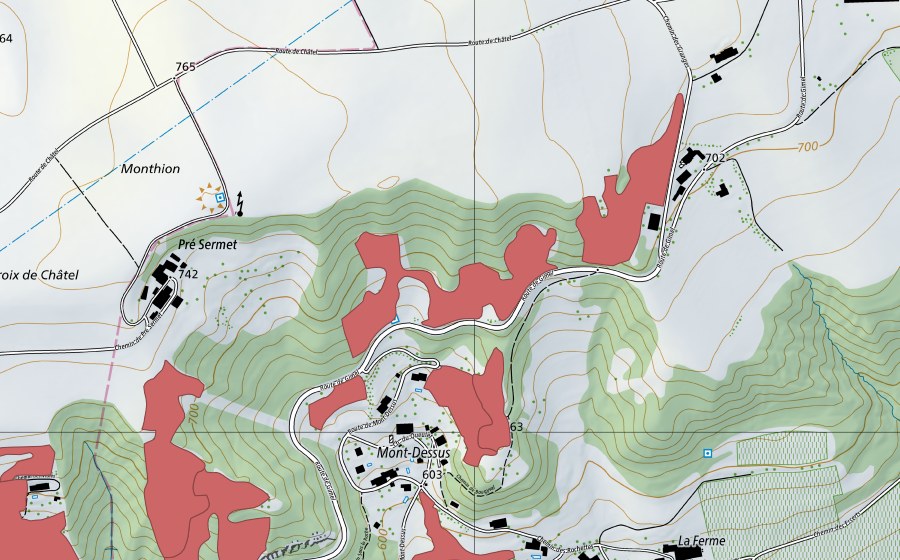 swisstopo national map showing the protected perimeter of Mont Dessus (Dry meadow)
