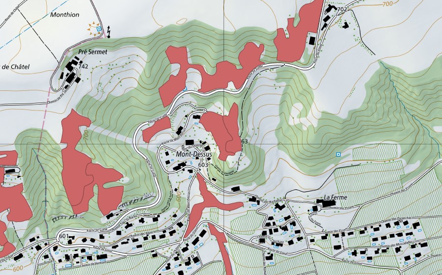 Carte nationale swisstopo avec le périmètre protégé de Mont Dessus (Prairie sèche)