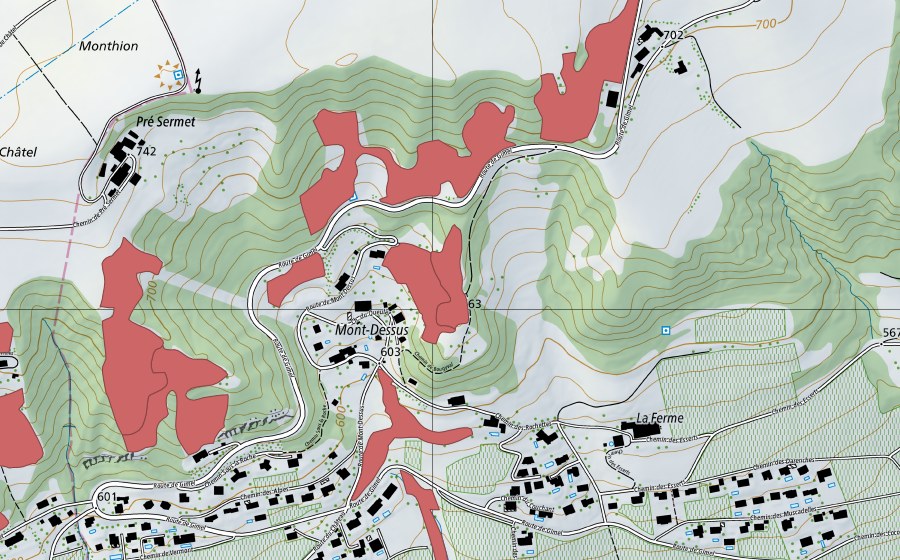 Landeskarte swisstopo mit dem Schutzperimeter von Mont Dessus (Trockenwiese)
