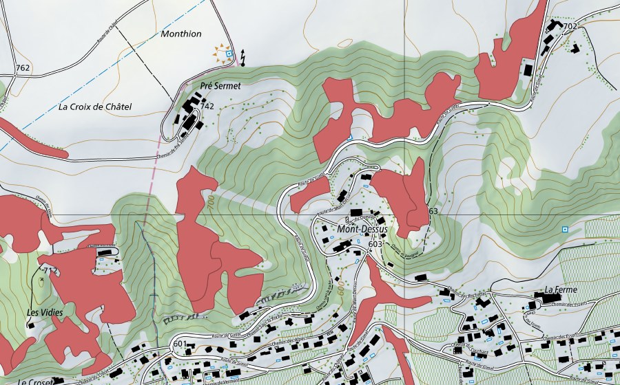 swisstopo national map showing the protected perimeter of Mont Dessus (Dry meadow)