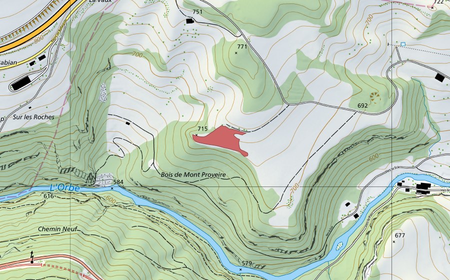 Landeskarte swisstopo mit dem Schutzperimeter von Mont Proveire (Trockenwiese)
