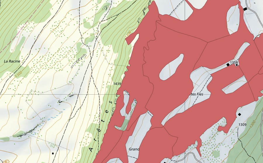Carta nazionale swisstopo con il perimetro protetto di Mont Racine (Prato secco)