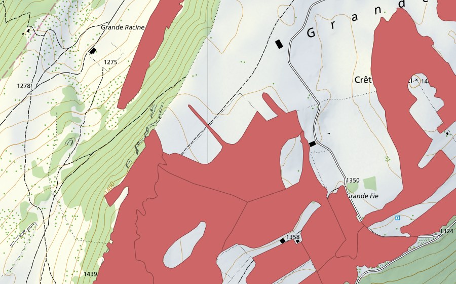 swisstopo national map showing the protected perimeter of Mont Racine (Dry meadow)