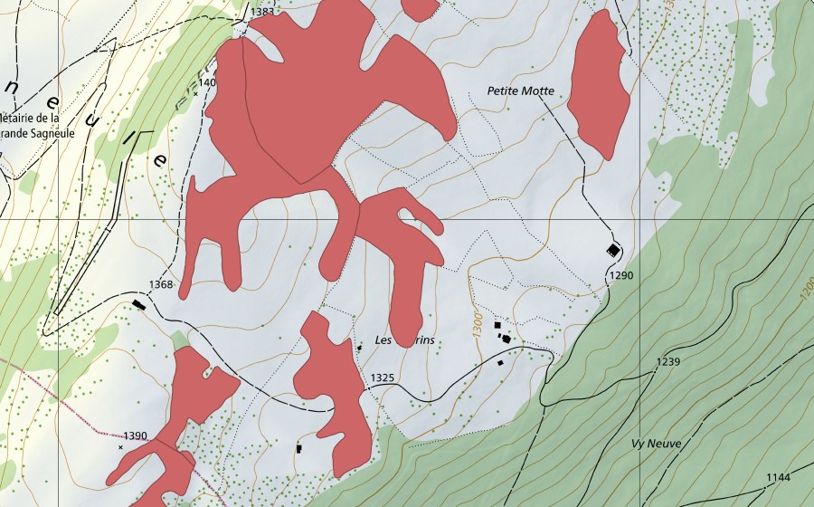 Carta nazionale swisstopo con il perimetro protetto di Mont Racine (Prato secco)