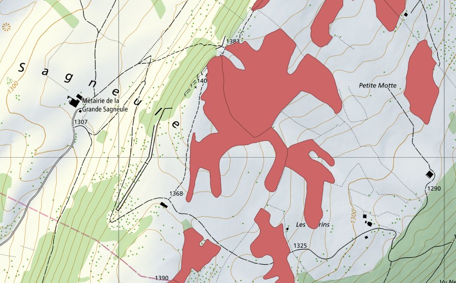 Landeskarte swisstopo mit dem Schutzperimeter von Mont Racine (Trockenwiese)