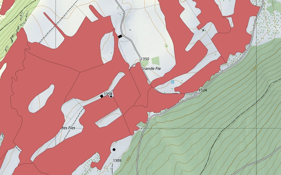 Landeskarte swisstopo mit dem Schutzperimeter von Mont Racine (Trockenwiese)