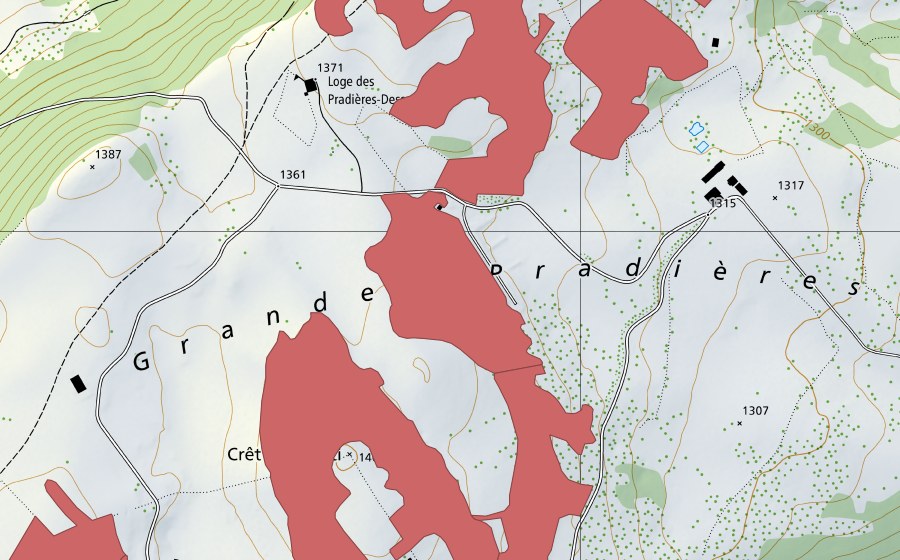 swisstopo national map showing the protected perimeter of Mont Racine (Dry meadow)