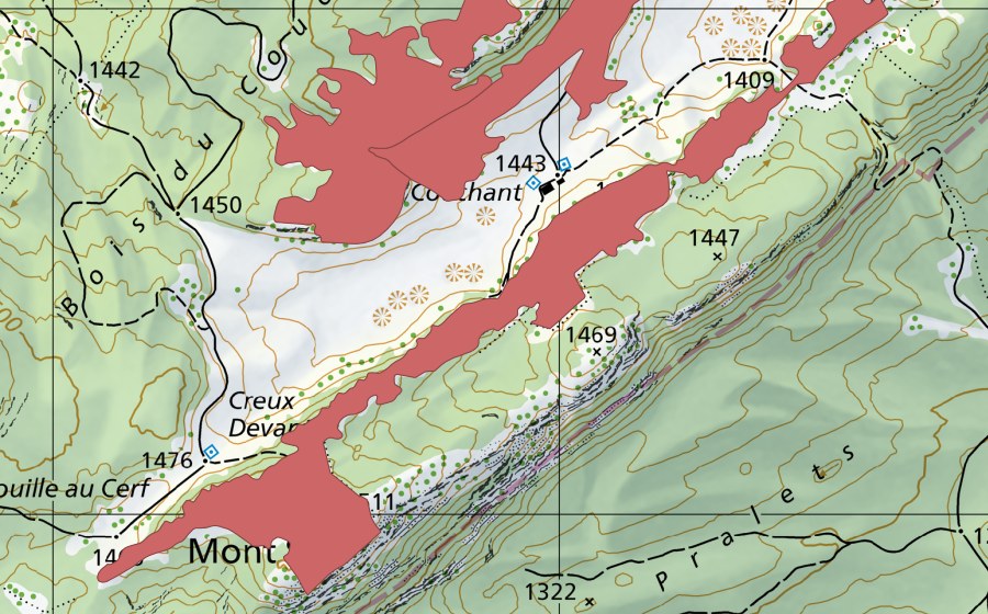 Landeskarte swisstopo mit dem Schutzperimeter von Mont Sâla (Trockenwiese)