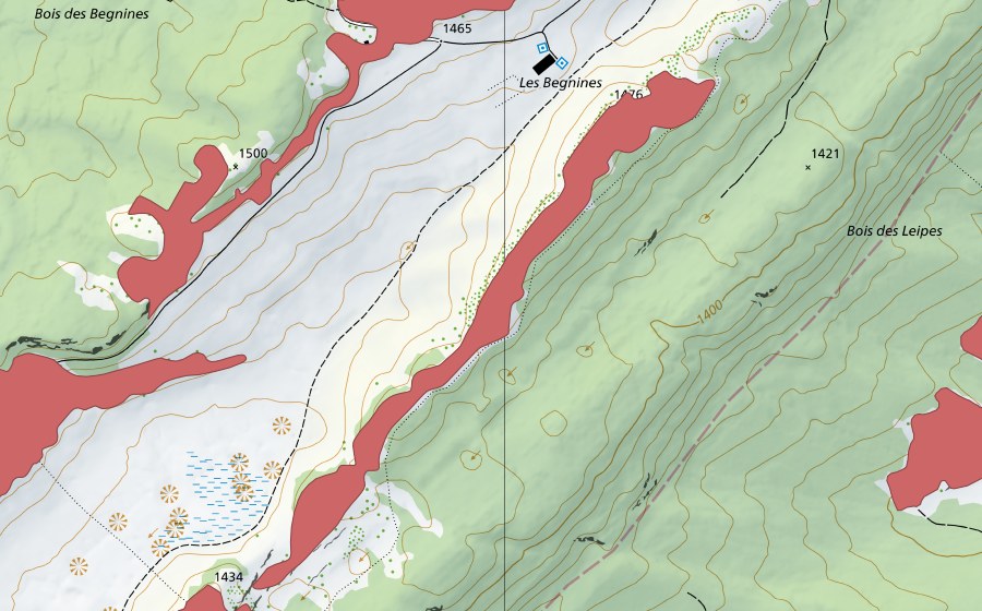 Landeskarte swisstopo mit dem Schutzperimeter von Mont Sâla (Trockenwiese)