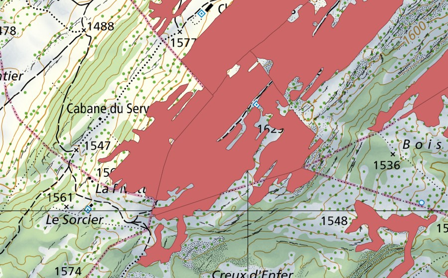 swisstopo national map showing the protected perimeter of Mont Tendre (Dry meadow)