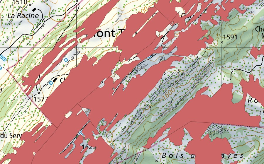 Carta nazionale swisstopo con il perimetro protetto di Mont Tendre (Prato secco)