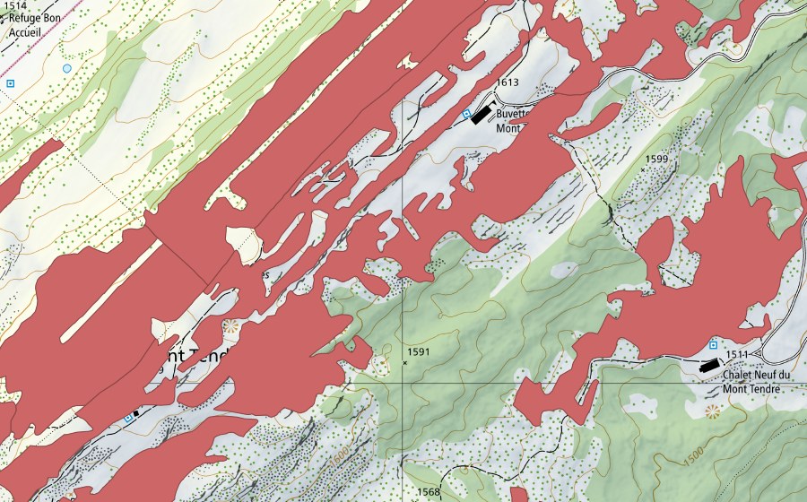 swisstopo national map showing the protected perimeter of Mont Tendre (Dry meadow)