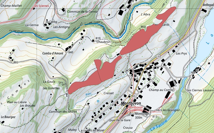 Carte nationale swisstopo avec le périmètre protégé de Montbovon (Prairie sèche)