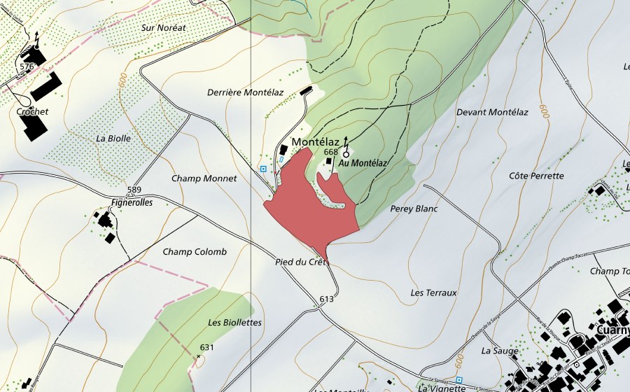 Landeskarte swisstopo mit dem Schutzperimeter von Montéla (Trockenwiese)