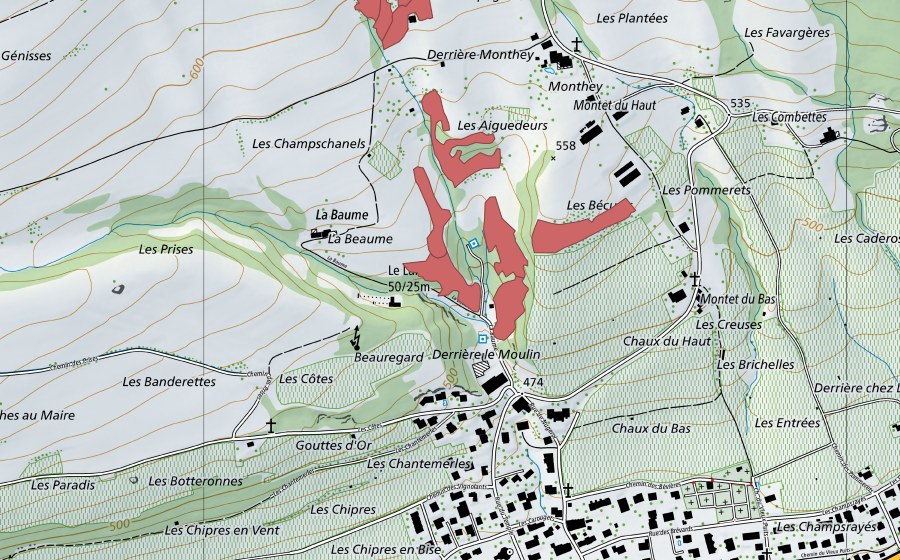 swisstopo national map showing the protected perimeter of Monthey du Haut (Dry meadow)