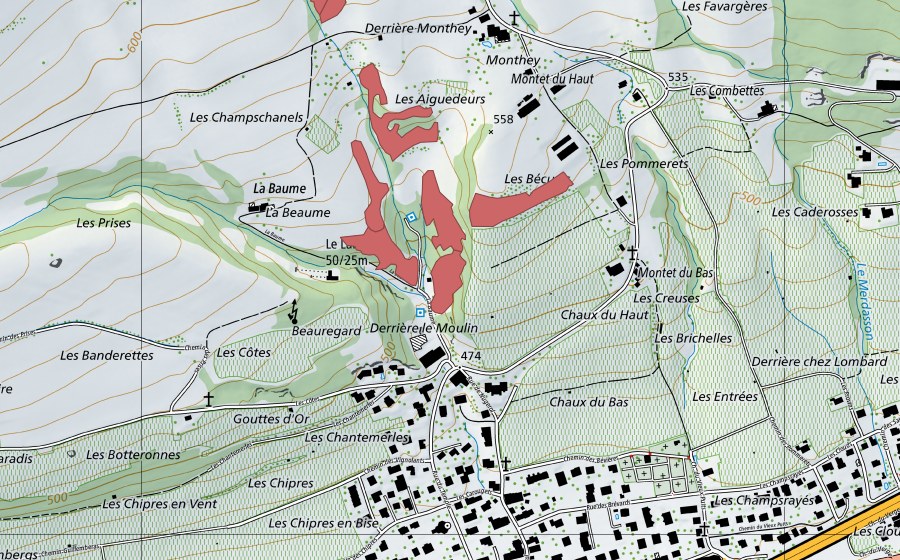 swisstopo national map showing the protected perimeter of Monthey du Haut (Dry meadow)