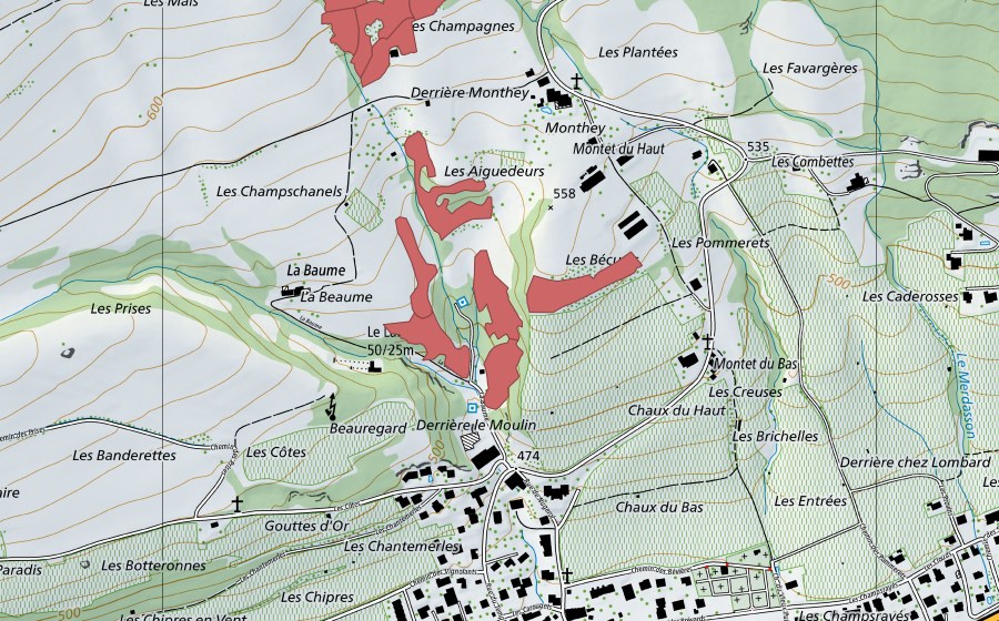 Landeskarte swisstopo mit dem Schutzperimeter von Monthey du Haut (Trockenwiese)