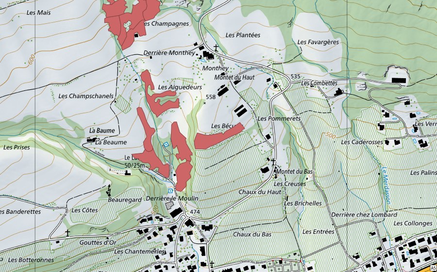 swisstopo national map showing the protected perimeter of Monthey du Haut (Dry meadow)