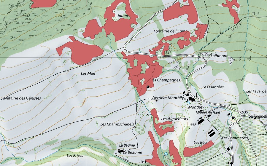 Landeskarte swisstopo mit dem Schutzperimeter von Monthey du Haut (Trockenwiese)