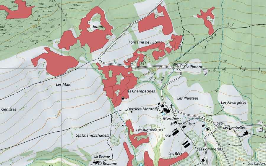 Landeskarte swisstopo mit dem Schutzperimeter von Monthey du Haut (Trockenwiese)