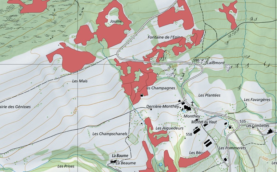 Landeskarte swisstopo mit dem Schutzperimeter von Monthey du Haut (Trockenwiese)